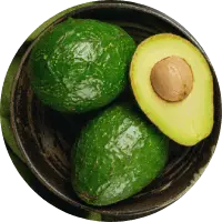 Boron, Zinc, and Vitamin B5